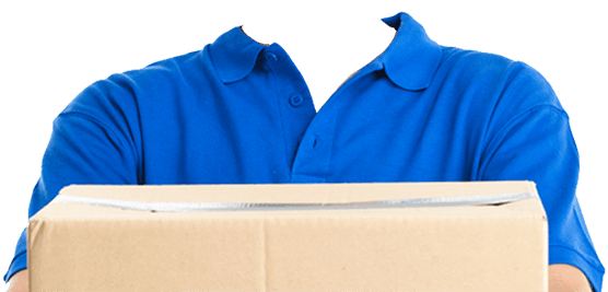body-delivery